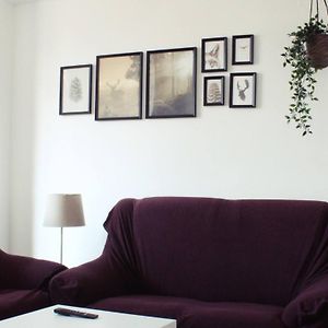 Centrico Y Luminoso Apartamento En Malaga Capital